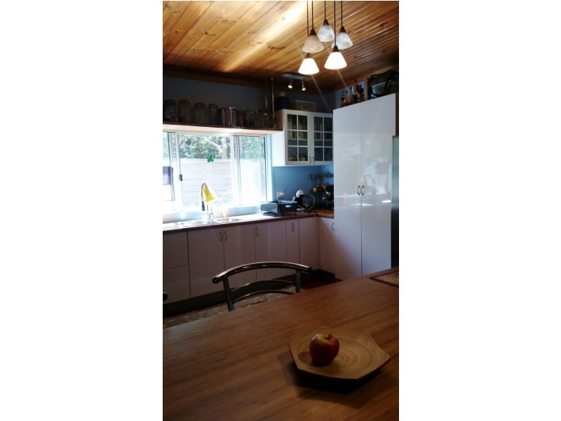 10 White Beech Road, Daintree QLD 4873