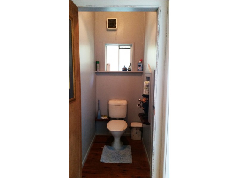 10 White Beech Road, Daintree QLD 4873