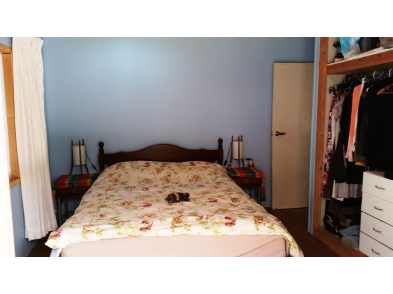 10 White Beech Road, Daintree QLD 4873