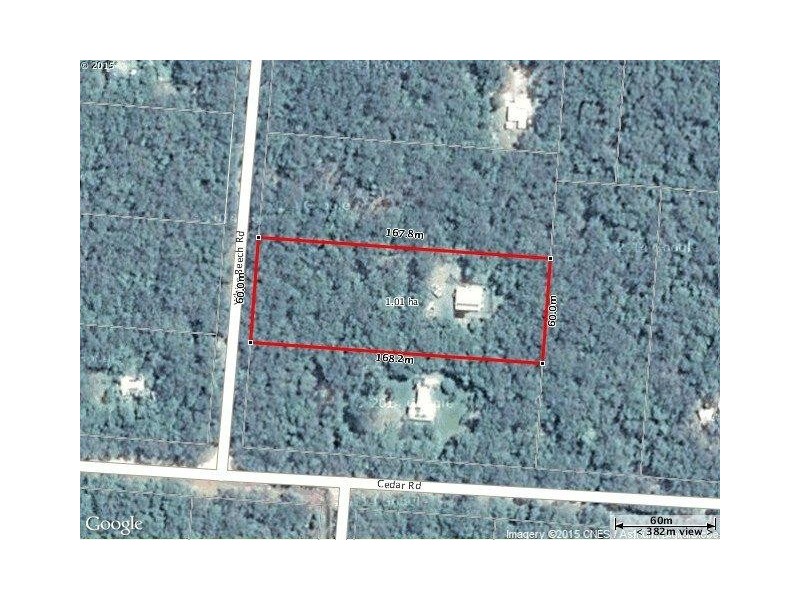 10 White Beech Road, Daintree QLD 4873