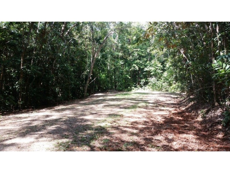 515 Silver Ash Road, Daintree QLD 4873
