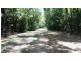 515 Silver Ash Road, Daintree QLD 4873