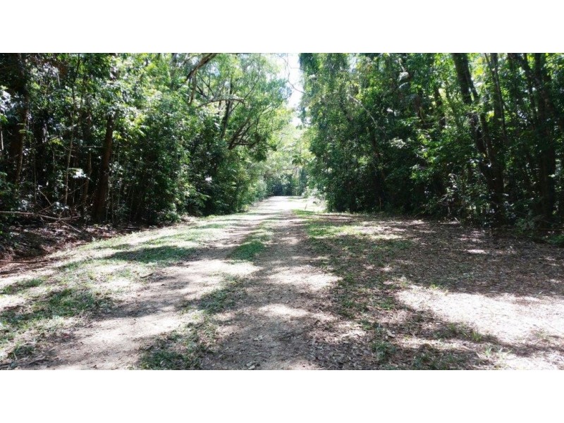 515 Silver Ash Road, Daintree QLD 4873