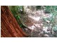 515 Silver Ash Road, Daintree QLD 4873