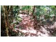 515 Silver Ash Road, Daintree QLD 4873