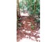 515 Silver Ash Road, Daintree QLD 4873