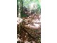 515 Silver Ash Road, Daintree QLD 4873