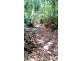 515 Silver Ash Road, Daintree QLD 4873