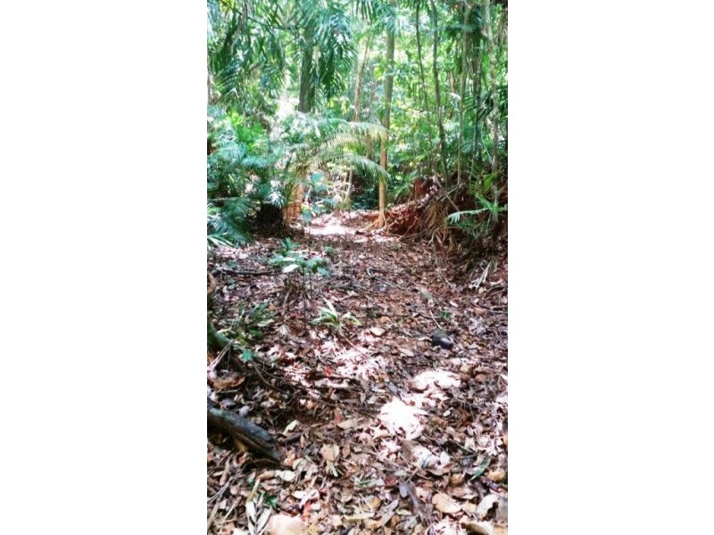 515 Silver Ash Road, Daintree QLD 4873