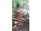 515 Silver Ash Road, Daintree QLD 4873
