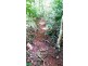 515 Silver Ash Road, Daintree QLD 4873