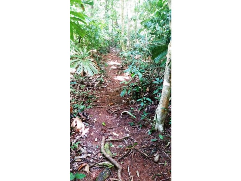 515 Silver Ash Road, Daintree QLD 4873