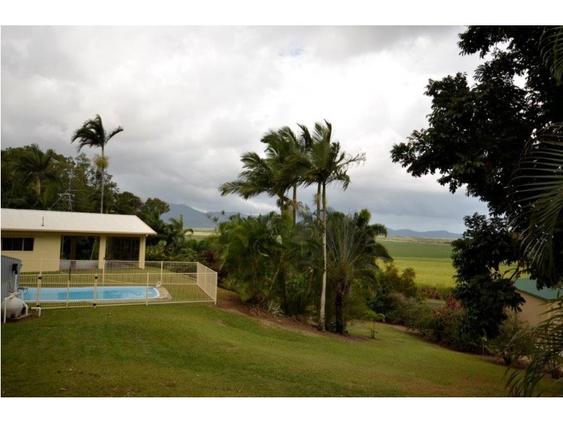 5 Dagmar Close (Lower Daintree), Wonga Beach QLD 4873