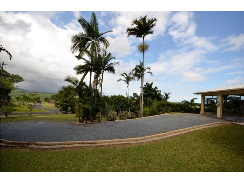 5 Dagmar Close (Lower Daintree), Wonga Beach QLD 4873