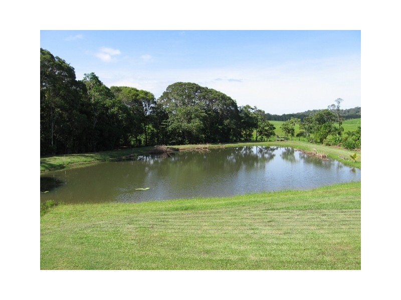 25 Rainforest Drive, Julatten QLD 4871