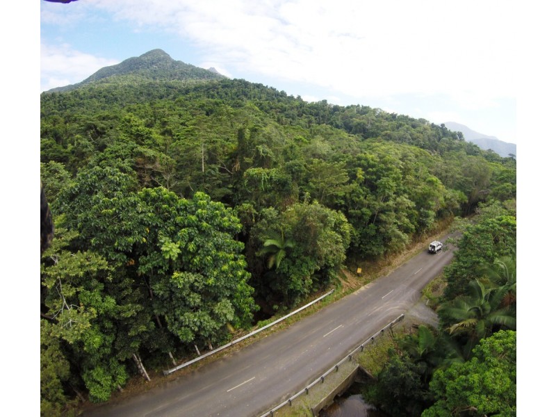 2 Cape Tribulation Road DIWAN, Daintree QLD 4873