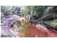2 Cape Tribulation Road DIWAN, Daintree QLD 4873