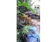2 Cape Tribulation Road DIWAN, Daintree QLD 4873