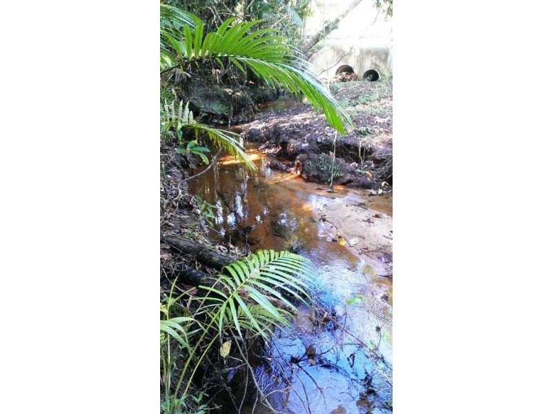 2 Cape Tribulation Road DIWAN, Daintree QLD 4873