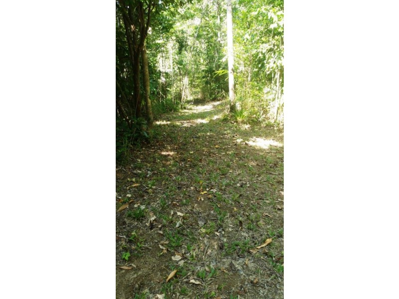 2 Cape Tribulation Road DIWAN, Daintree QLD 4873