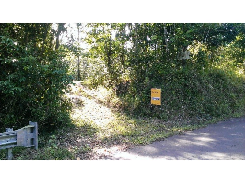 2 Cape Tribulation Road DIWAN, Daintree QLD 4873