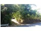 2 Cape Tribulation Road DIWAN, Daintree QLD 4873
