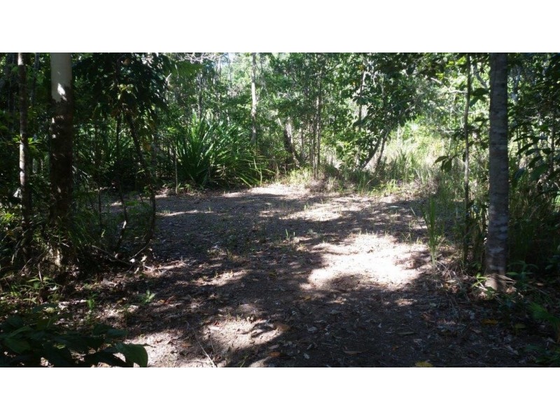 2 Cape Tribulation Road DIWAN, Daintree QLD 4873