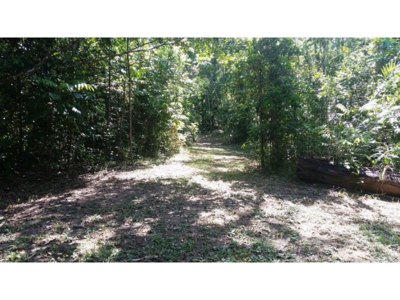 2 Cape Tribulation Road DIWAN, Daintree QLD 4873