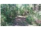 2 Cape Tribulation Road DIWAN, Daintree QLD 4873