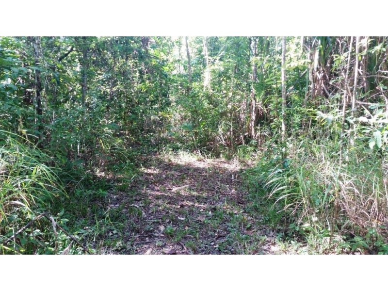 2 Cape Tribulation Road DIWAN, Daintree QLD 4873