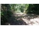 2 Cape Tribulation Road DIWAN, Daintree QLD 4873
