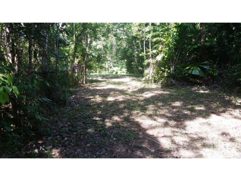 2 Cape Tribulation Road DIWAN, Daintree QLD 4873