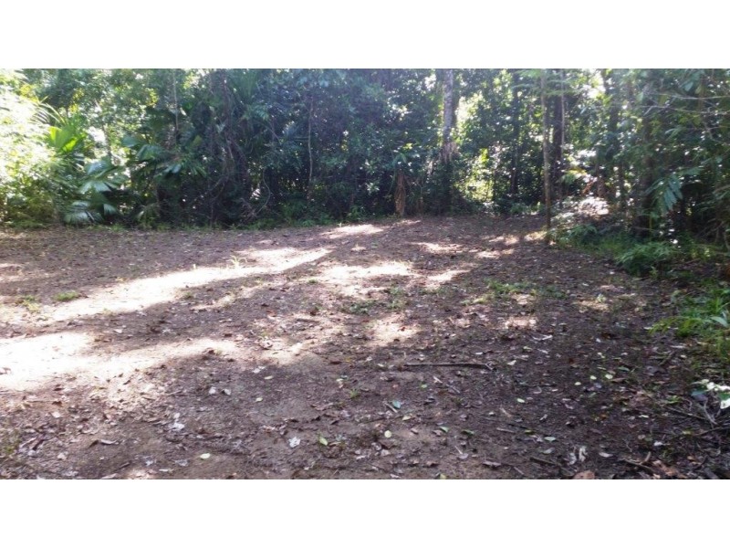2 Cape Tribulation Road DIWAN, Daintree QLD 4873