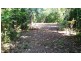 2 Cape Tribulation Road DIWAN, Daintree QLD 4873