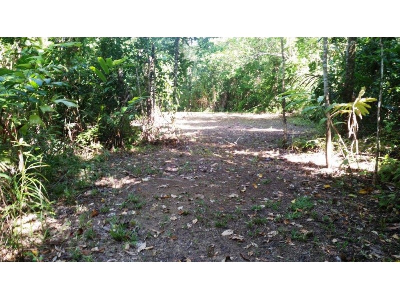 2 Cape Tribulation Road DIWAN, Daintree QLD 4873