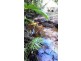 2 Cape Tribulation Road DIWAN, Daintree QLD 4873