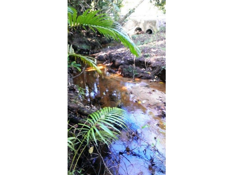 2 Cape Tribulation Road DIWAN, Daintree QLD 4873
