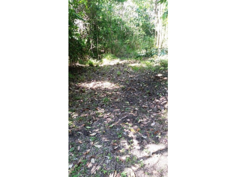 2 Cape Tribulation Road DIWAN, Daintree QLD 4873