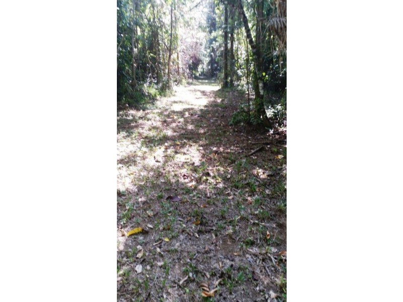 2 Cape Tribulation Road DIWAN, Daintree QLD 4873