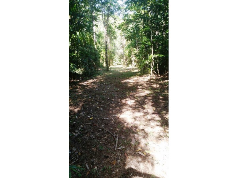 2 Cape Tribulation Road DIWAN, Daintree QLD 4873