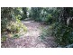 2 Cape Tribulation Road DIWAN, Daintree QLD 4873