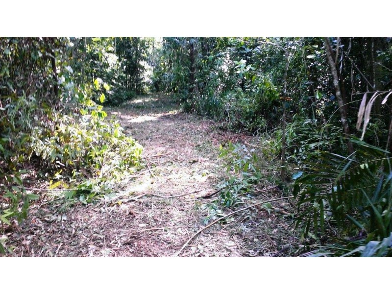 2 Cape Tribulation Road DIWAN, Daintree QLD 4873