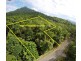 2 Cape Tribulation Road DIWAN, Daintree QLD 4873