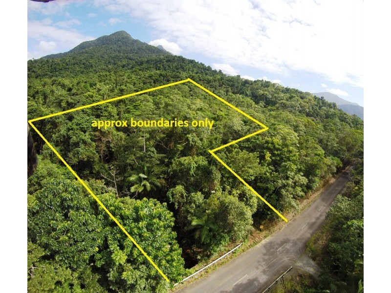 2 Cape Tribulation Road DIWAN, Daintree QLD 4873