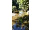 3 Cypress Road, Daintree QLD 4873