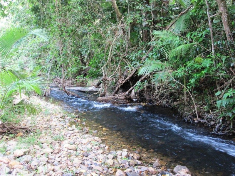 3 Cypress Road, Daintree QLD 4873