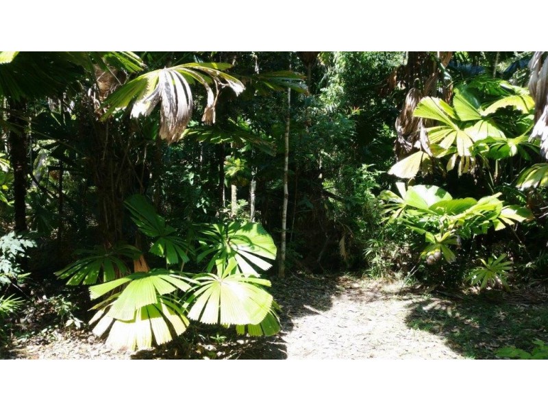 3 Cypress Road, Daintree QLD 4873