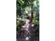 3 Cypress Road, Daintree QLD 4873