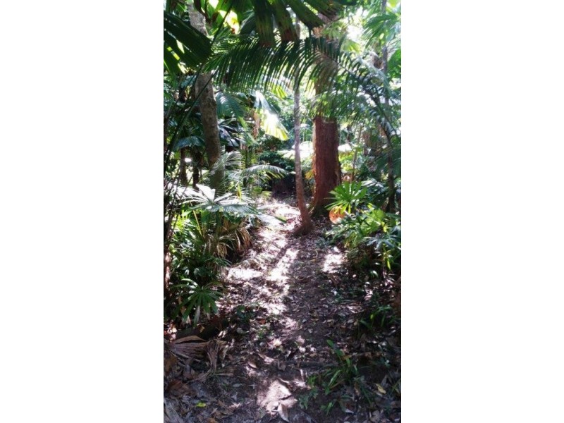 3 Cypress Road, Daintree QLD 4873