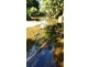 3 Cypress Road, Daintree QLD 4873